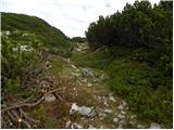 Planina Ravne - Kocbekov dom na Korošici